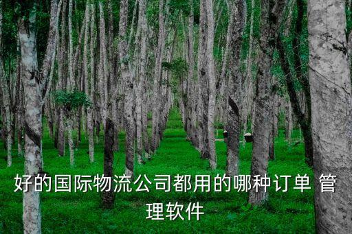 報關管理系統(tǒng)軟件哪個好,遠恒報關管理系統(tǒng)詳細教學